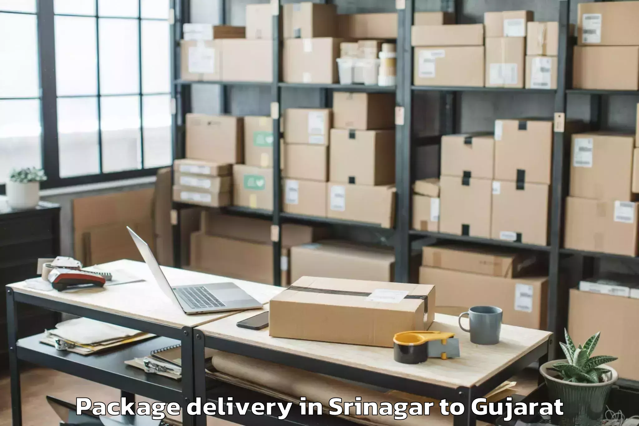 Top Srinagar to Khambhaliya Package Delivery Available